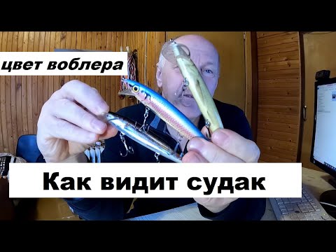 Видео: Как видит судак. Цвет воблера.