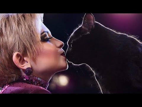 Видео: В АЛМАТЫ "AQUAMARINE" - ЦИРК НА ВОДЕ! Востребованы ли животные в цирке? Куда дели дельфина?