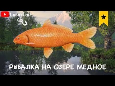 Видео: я вернулся.ура !