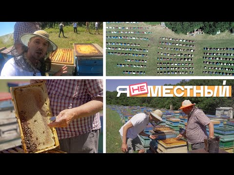 Видео: Я не местный. Село Юца: пасеки, пасечники и пчёлы