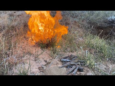 Видео: Было жарко! 🥵 Артефакты Сталинградских степей в небольшом  выезде🙌