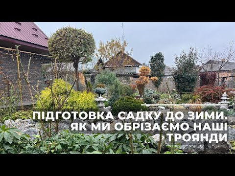 Видео: Підготовка саду до зими. Як ми обрізаємо наші троянди