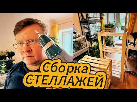 Видео: Сборка стеллажей с Wildberries!!! Распаковка покупочек!