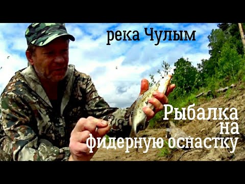 Видео: Рыбалка на фидерную оснастку на реке Чулым! Результат шокировал!