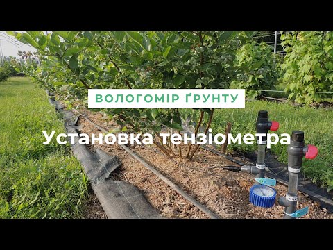 Видео: Установка тензіометра (вологомір ґрунту)