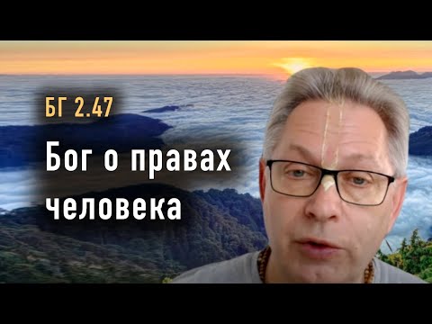 Видео: 2024-10-22 - БГ 2.47 - Бог о правах человека