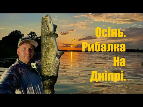 Видео: ОСІНЬ. РИБАЛКА НА ДНІПРІ.