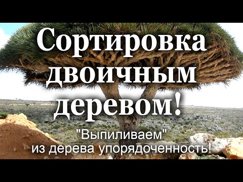 Видео: Сортировка двоичным деревом! "Выпиливаем" из дерева упорядоченность!