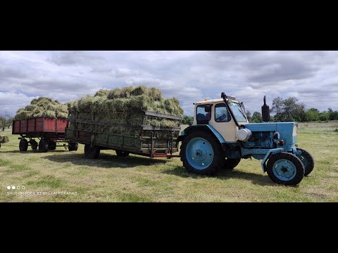 Видео: Тюкуємо сіно 2022 ЮМЗ 6 тюкопрес сіпма Sipma 221/1 Готуємо сіно