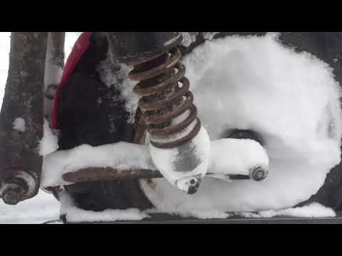 Видео: Дикий муравей. Не снегоход, но может наказать.