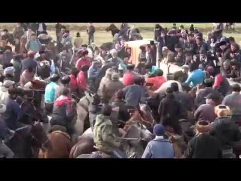 Видео: Егетаев Дүйсен ата Көкпар Қазығұрт - 09.11.2014 (2)