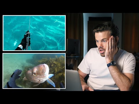 Видео: Когда подводная охота идет НЕ ТАК — издание для подписчиков.