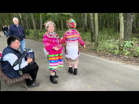 Видео: Народное творчество, припевки и частушки - гармонист Павел Бузин.