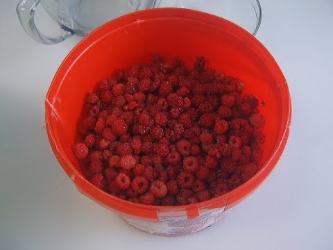 Видео: Малина на зиму