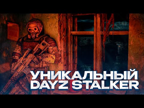 Видео: УНИКАЛЬНЫЙ СЕРВЕР В DAYZ STALKER-RP В 2025 ГОДУ! ДЕЙЗ СТАЛКЕР РП