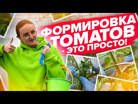 Видео: ФОРМИРОВКА ТОМАТОВ  1, 2, 3, 4 СТЕБЛЯ!