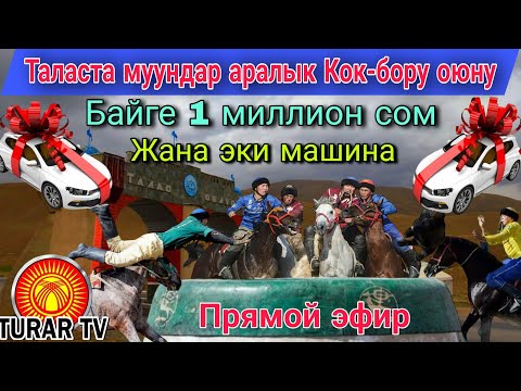 Видео: Талас облусунун муундар аралык Кок-бору оюну