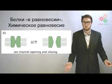 Видео: Введение. Физика и биологические макромолекулы (без музыки)