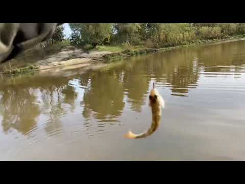Видео: Последний теплый день сентября.мормышинг