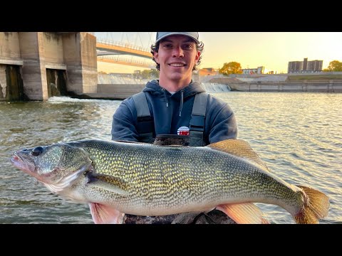 Видео: Ловля огромного айовского судака!