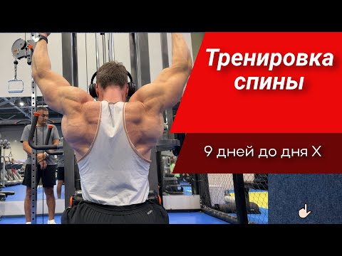 Видео: Тренировка спины за 9 дней до старта/ личные мысли