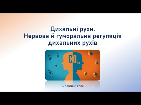 Видео: Біологія людини. Дихальні рухи. Нейрогуморальна регуляція дихання.