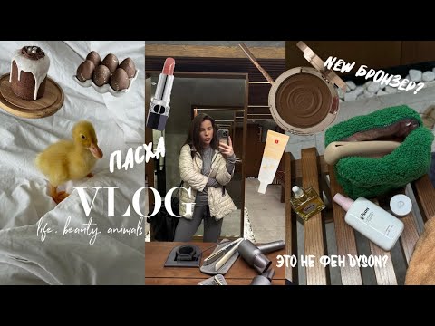 Видео: VLOG | must have в моей косметичке; у нас живут утята; съемка к анонсу Пасхи