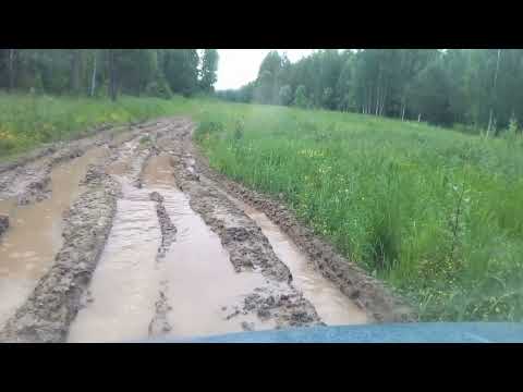 Видео: дорога в деревню летом нива