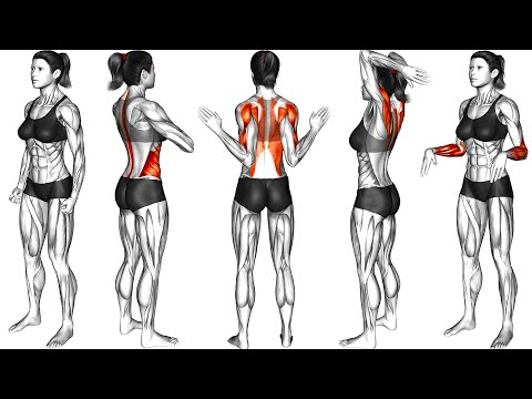 Видео: 15 разминочных упражнений для выполнения дома