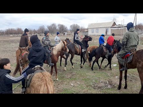 Видео: Станция Коксу.  Наурыз мейрамы - Көкпар 🐎