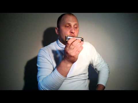 Видео: Как играть на губной гармошке.Урок 2.Два весёлых гуся