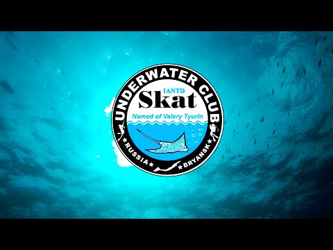 Видео: Мир дайвинга. Подводный клуб "Скат"
