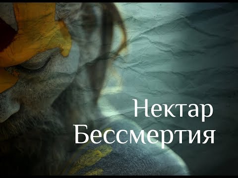 Видео: Где ни была бы пища, там обитает То - Нисаргадатта Махарадж. Нектар Бессмертия