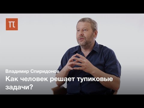 Видео: Современные исследования инсайта — Владимир Спиридонов