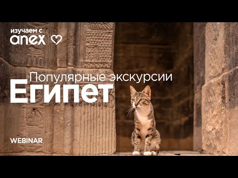 Видео: Изучаем с Anex! Популярные экскурсии Египта