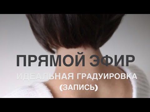 Видео: 20 августа 2024 г.