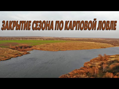 Видео: ОДИН НА ДИКАРЕ. Закрытие карпового сезона поздней осенью.