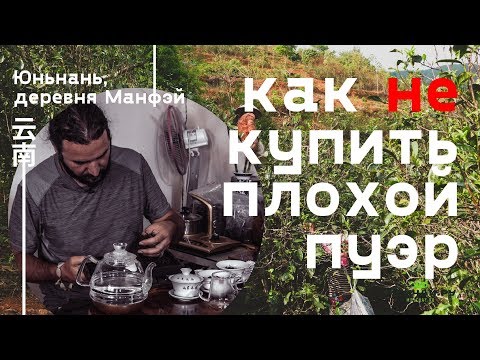 Видео: Как китайцы продают плохой чай пуэр. Юньнань, деревня Манфэй