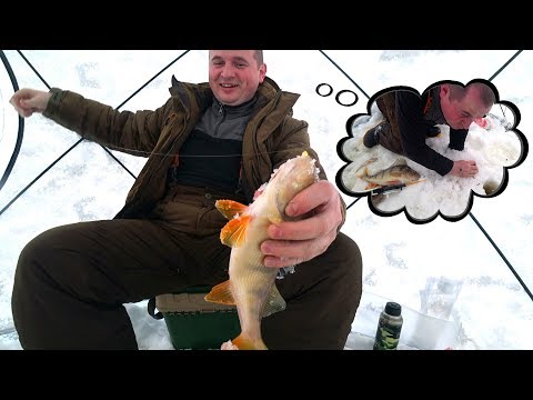 Видео: ОКУНИ РЕАЛЬНО НЕ ЛЕЗЛИ В ЛУНКУ \ В ТАЙГУ С РУСЛАНОМ \ РЫБАЛКА ОТ УСТАИЧА \ ВСТРЕЧА БЛОГЕРОВ РЫБАКОВ