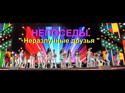 Видео: Непоседы- Неразлучные друзья