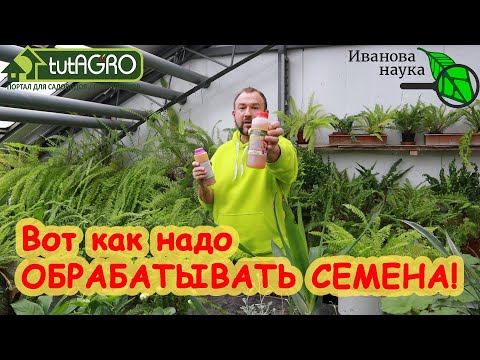 Видео: КРАСНЫМ СТЕРЖНЕМ. Пятница, 13. НАКИПЕЛО! Не повторяйте эту ошибку в подготовке семян к посеву.