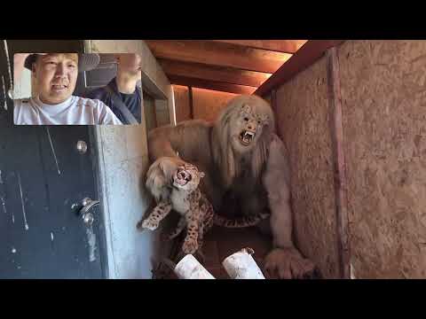Видео: 2025 Зам зуур