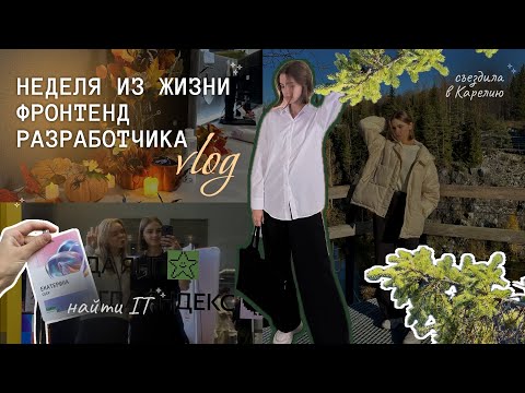 Видео: ✨будни ПРОГРАММИСТА | найти IT, VK education, магистратура, Карелия 💻