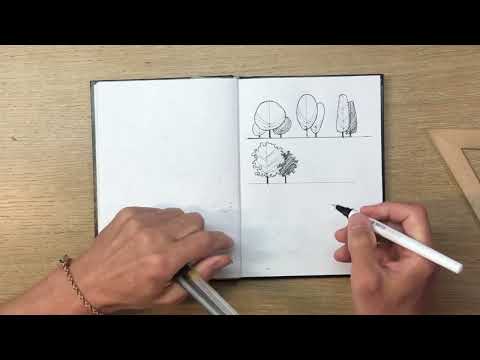 Видео: Рисуем деревья линером. Антураж
