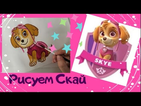 Видео: Уроки рисования герои Щенячий патруль. Рисуем Скай
