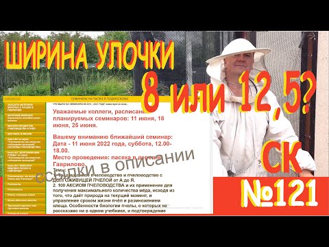 Видео: "Спроси Калёнова" №121. Ширина улочки: 8 или 12,5? Что правильно? Пчелы, Пчеловод и Пчеловодство+.