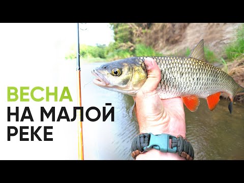 Видео: Весенний спиннинг на малой реке