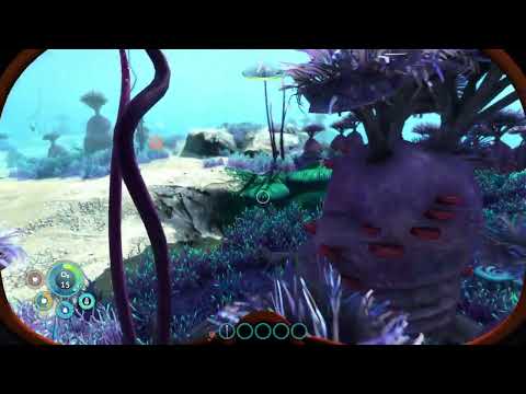 Видео: Все на север! ►Subnautica: Below Zero #1