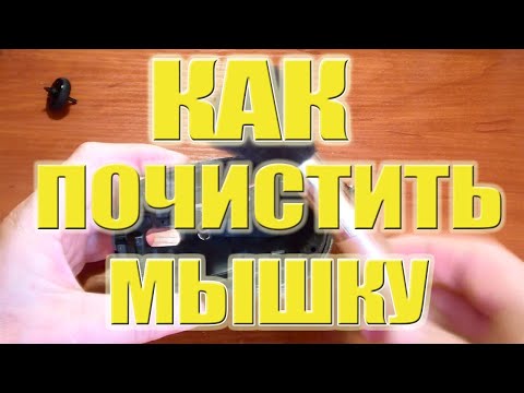 Видео: Как почистить МЫШКУ от пыли?  Рабочий и проверенный способ чистки мышки.