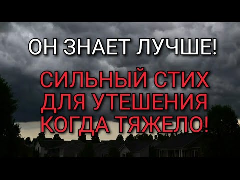 Видео: Последний солнца луч! Он знает лучше! Стих для утешения!